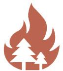 wildfire icon